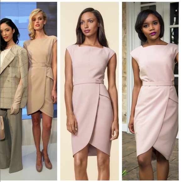 The Limited Dresses & Skirts - THE LIMITED Scandal Collection Blush Sheath Dress